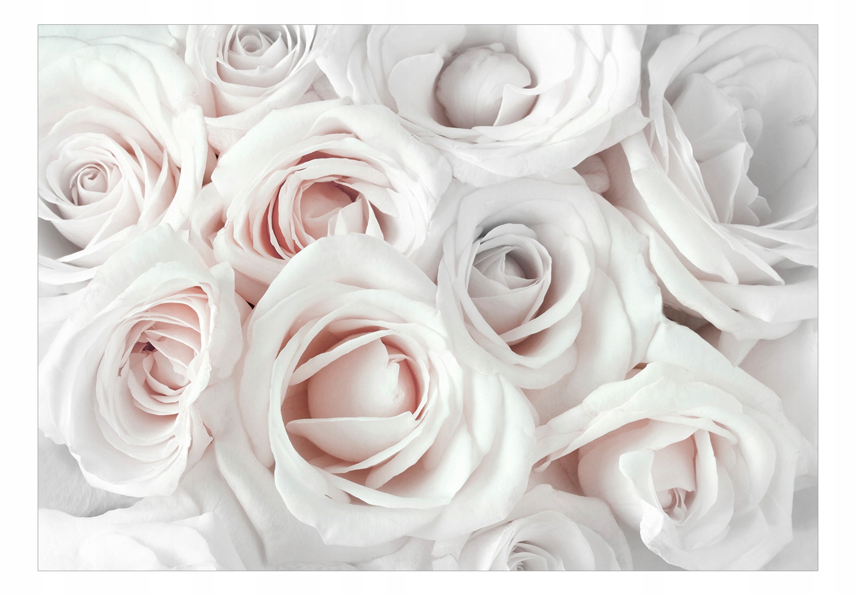 Tapeta - Satin rose (ružová) 400x280