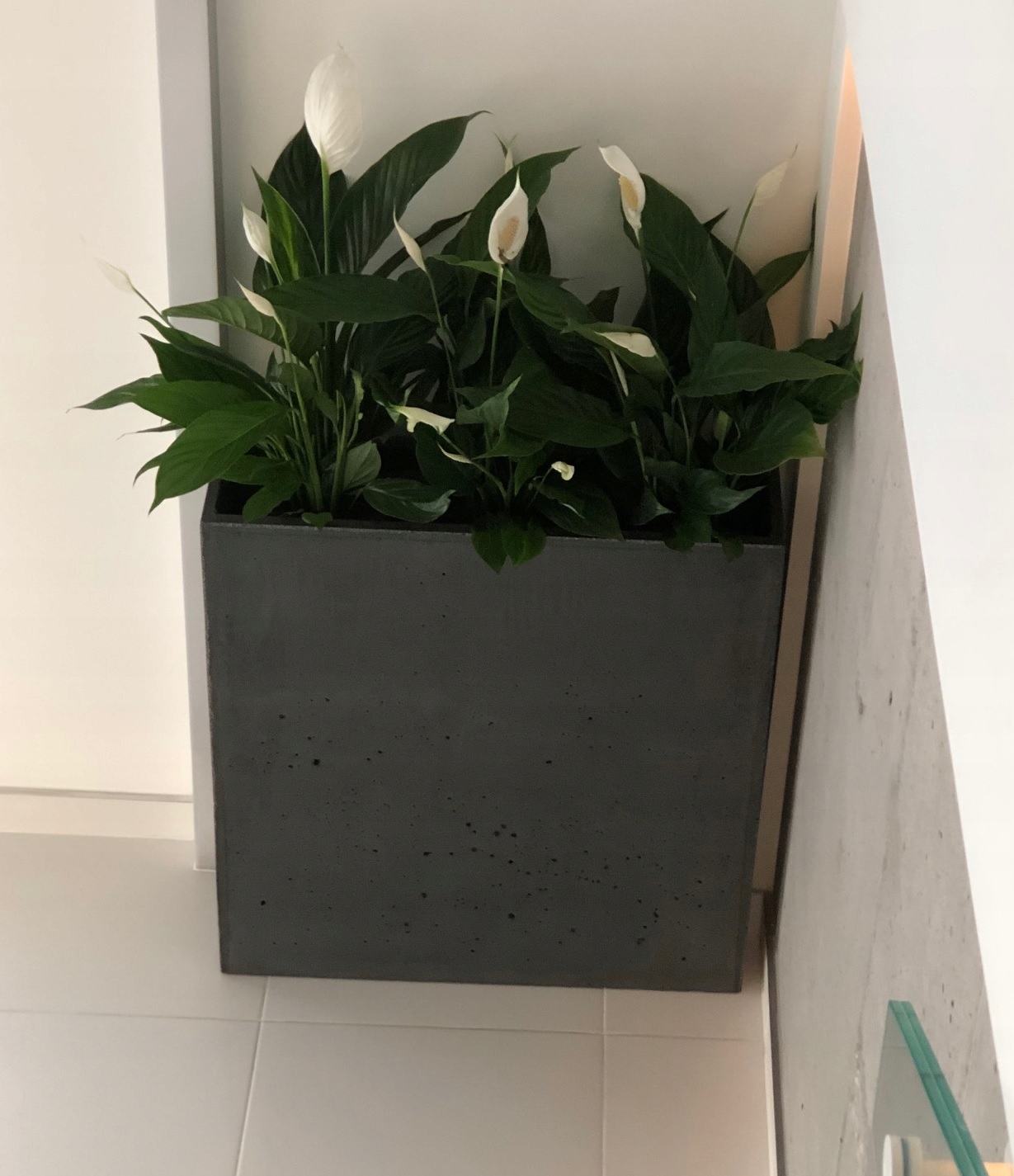Betónový kvetináč Slim 70 × 20 × 75, sivý impregnovaný