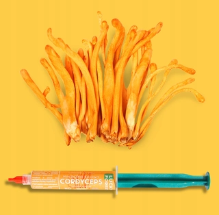 Huby na pestovanie - CORDYCEPS Cordyceps - tekuté mycélium 10 ML