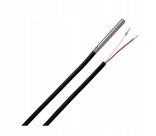 Teplotný snímač CT4 Ecomax Plum