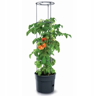 Kvetináč na terasu - Pot pre pestovanie paradajok paradajok 12l