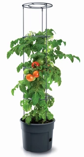 Kvetináč na terasu - Hrniec na pestovanie paradajok TOMATO GROWER 28 L