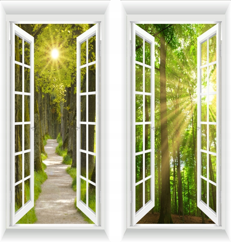 FOTO NÁSTENNÉ OKNO 3D LESNÉ STROMY PRÍRODA 100 X 230cm