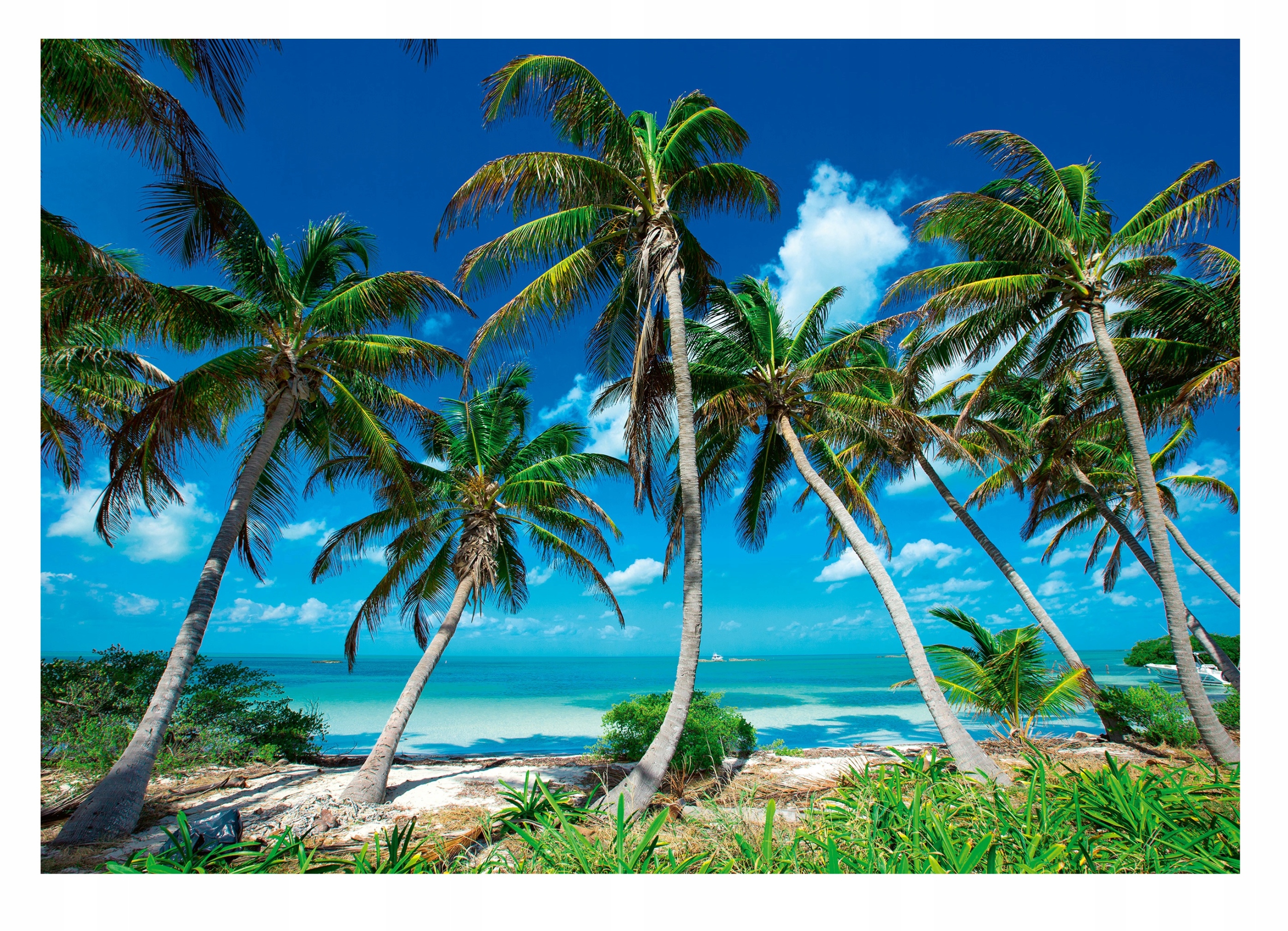 Fototapeta PARADISE BEACH 3D Sea of Palms 416x254