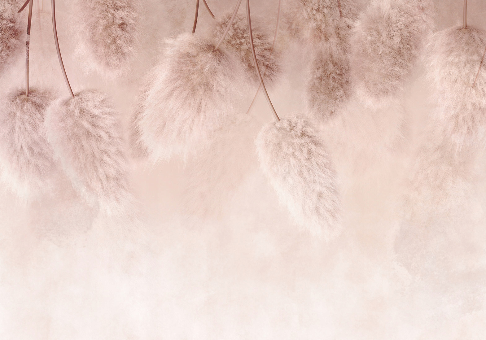 FOTOTAPETA BOHO GRASS 350x256 bC-10081-aa