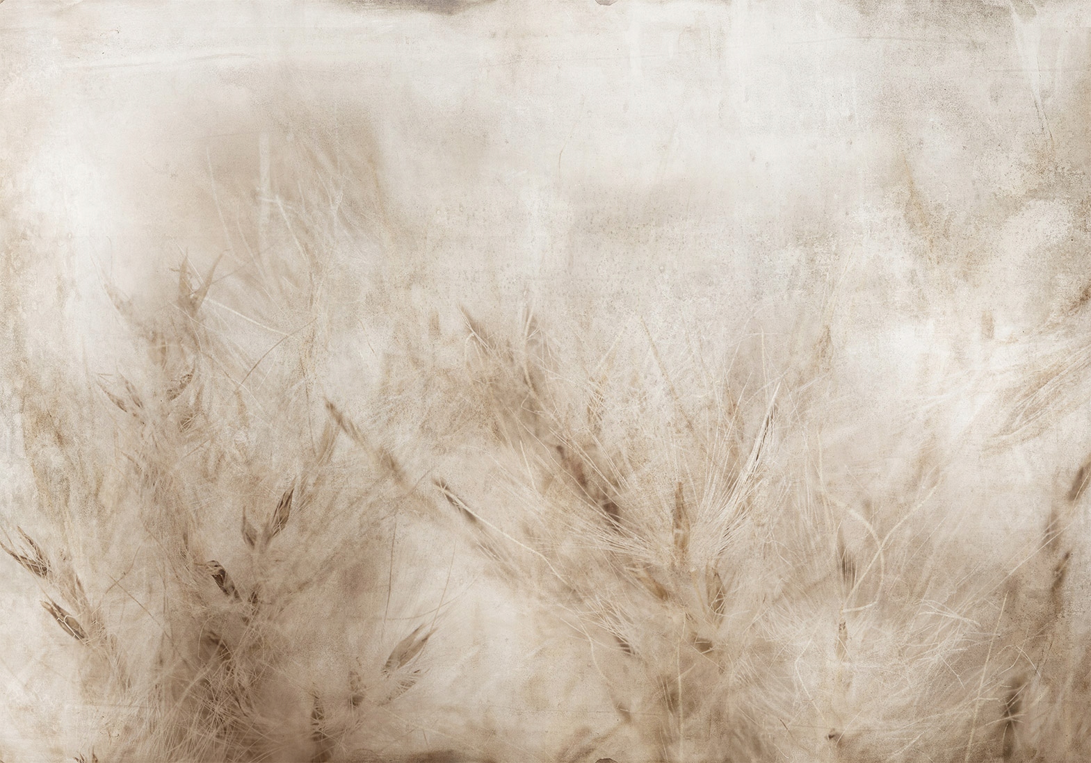 FOTOTAPETA TRÁVNA LÚKA PRÍRODA 400x280 bC-10315-aa