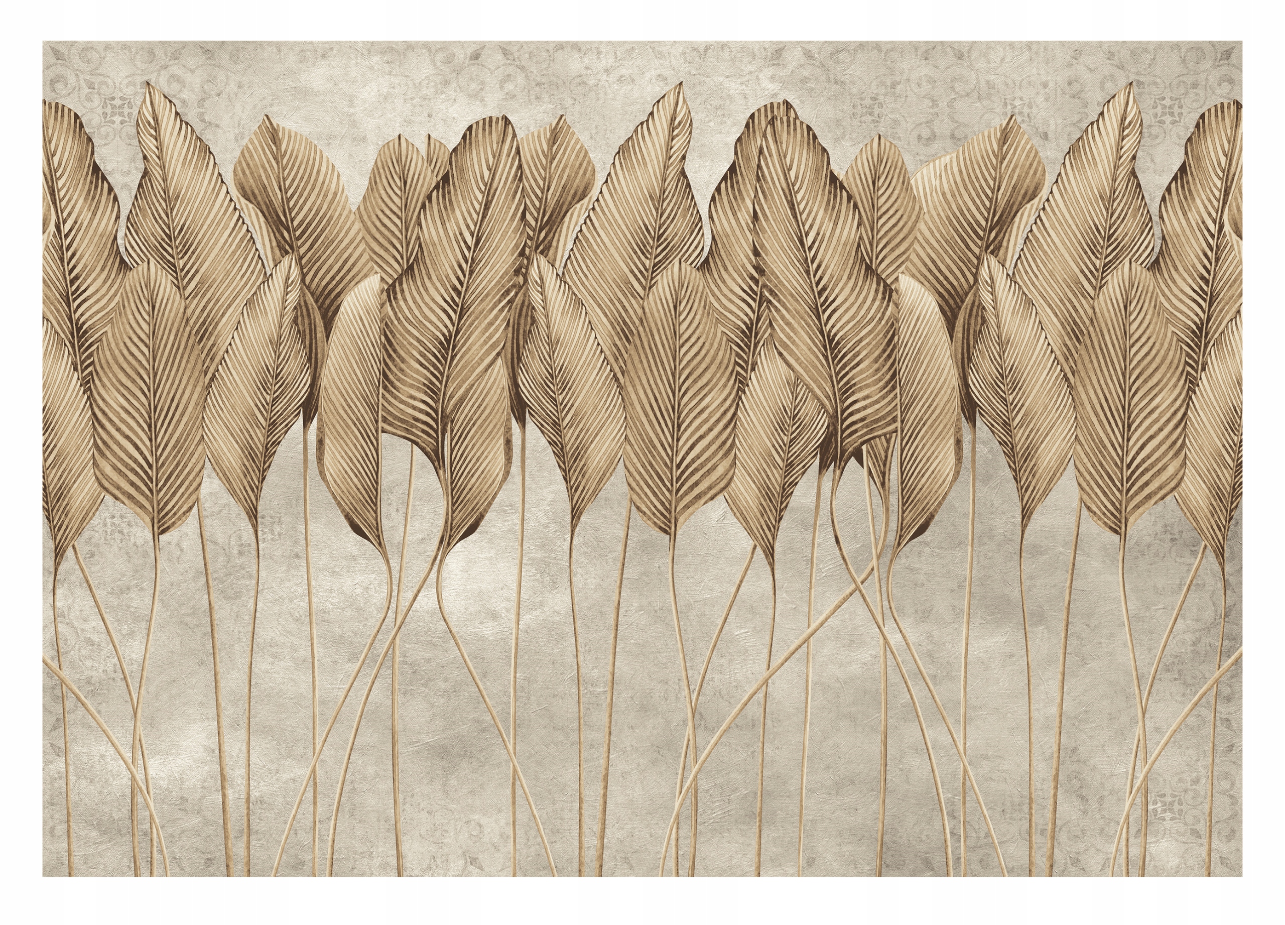 Fototapeta LEAVES FEATHERS 3D Imitácia betónu 416x254