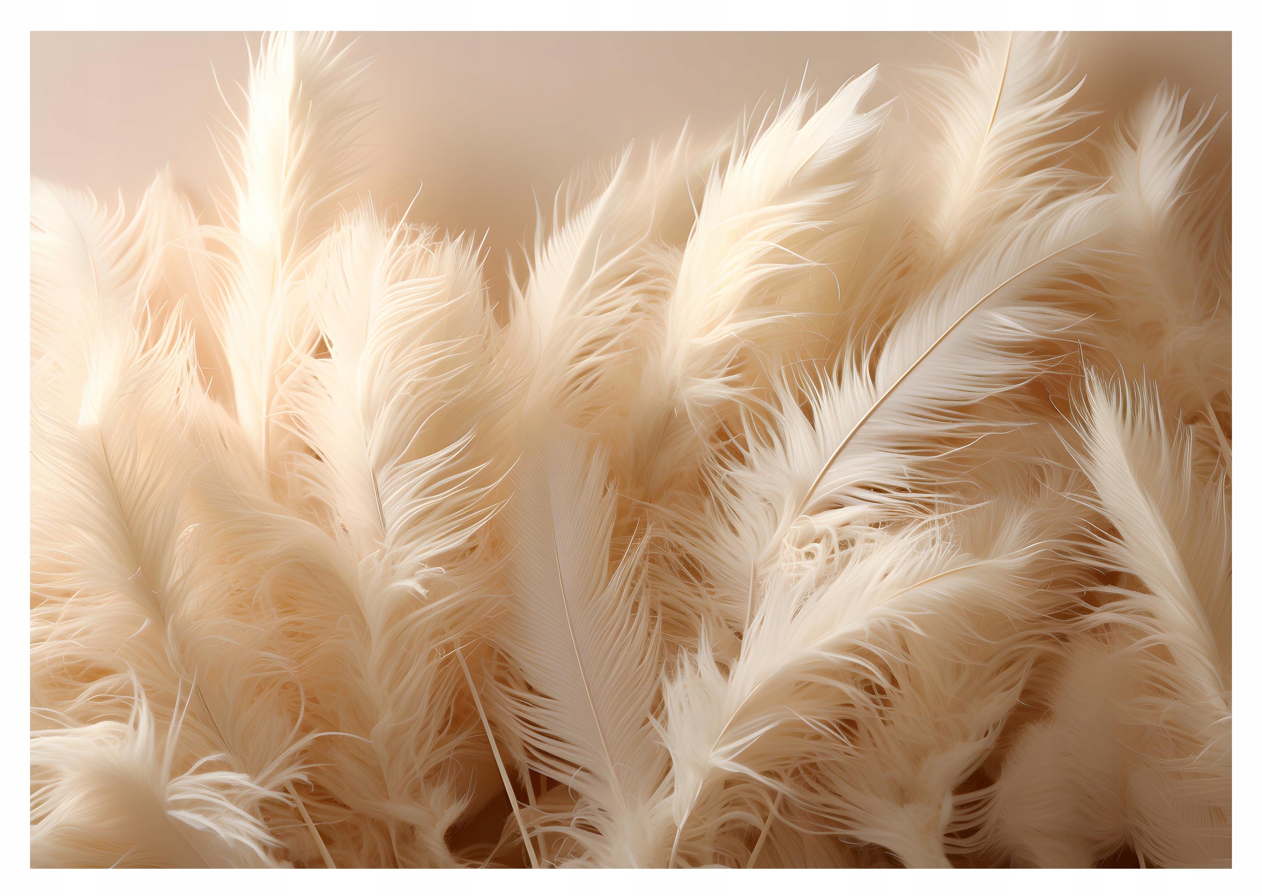 Fototapeta 3D FEATHERS do spálne, obývačky, 312x219