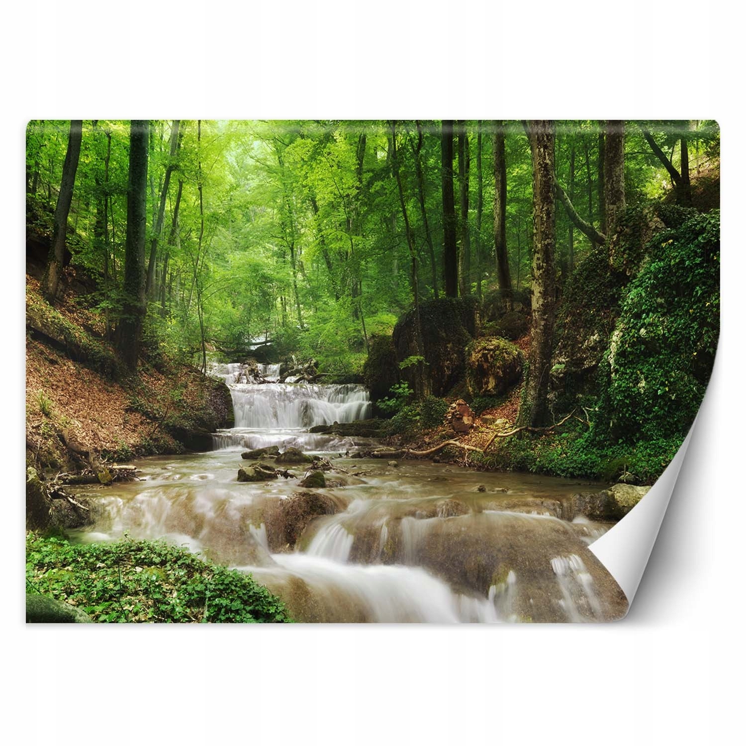 FOTOTAPETA Voda uprostred lesa 200x140