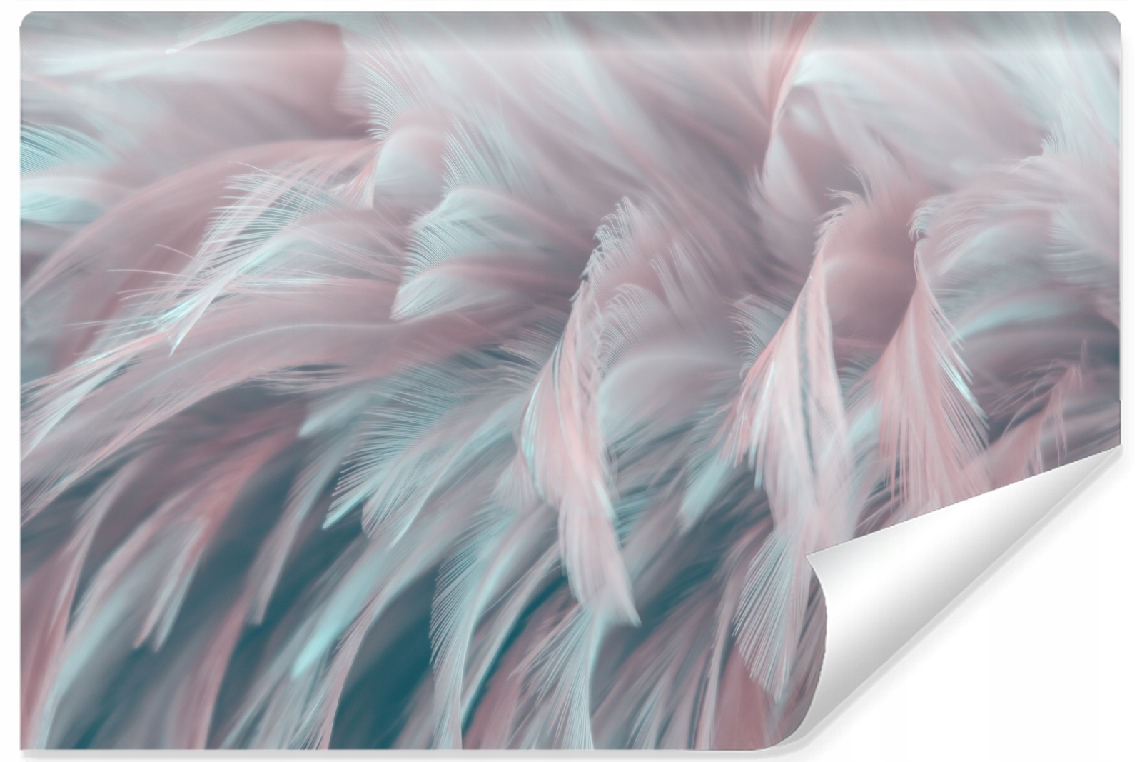 Fototapeta Farebné PERIE 3D Dekor 368x254