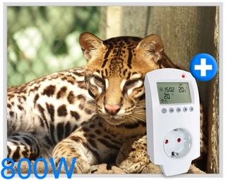 Sálavý ohrievač - Infražiarič HF-HP115 800 WAT