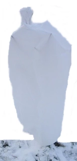 Agrotextília - Krycia agrotextília (zima-jar) Zelená Dom biela 300 x 320 cm 50 g/m²