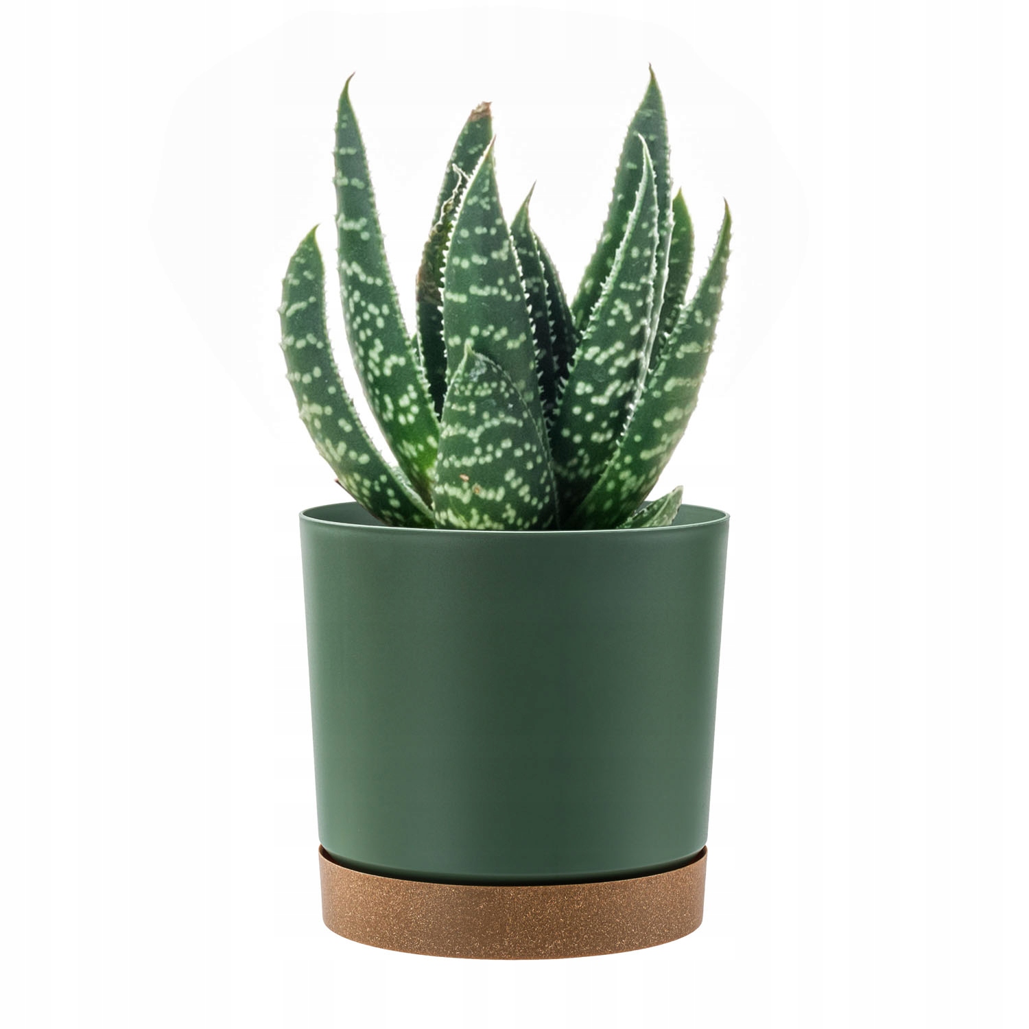 Kvetináč Prosperplast 23,1 cm x 23,9 x 23,1 cm priemer 23,9 cm plastové odtiene zelenej