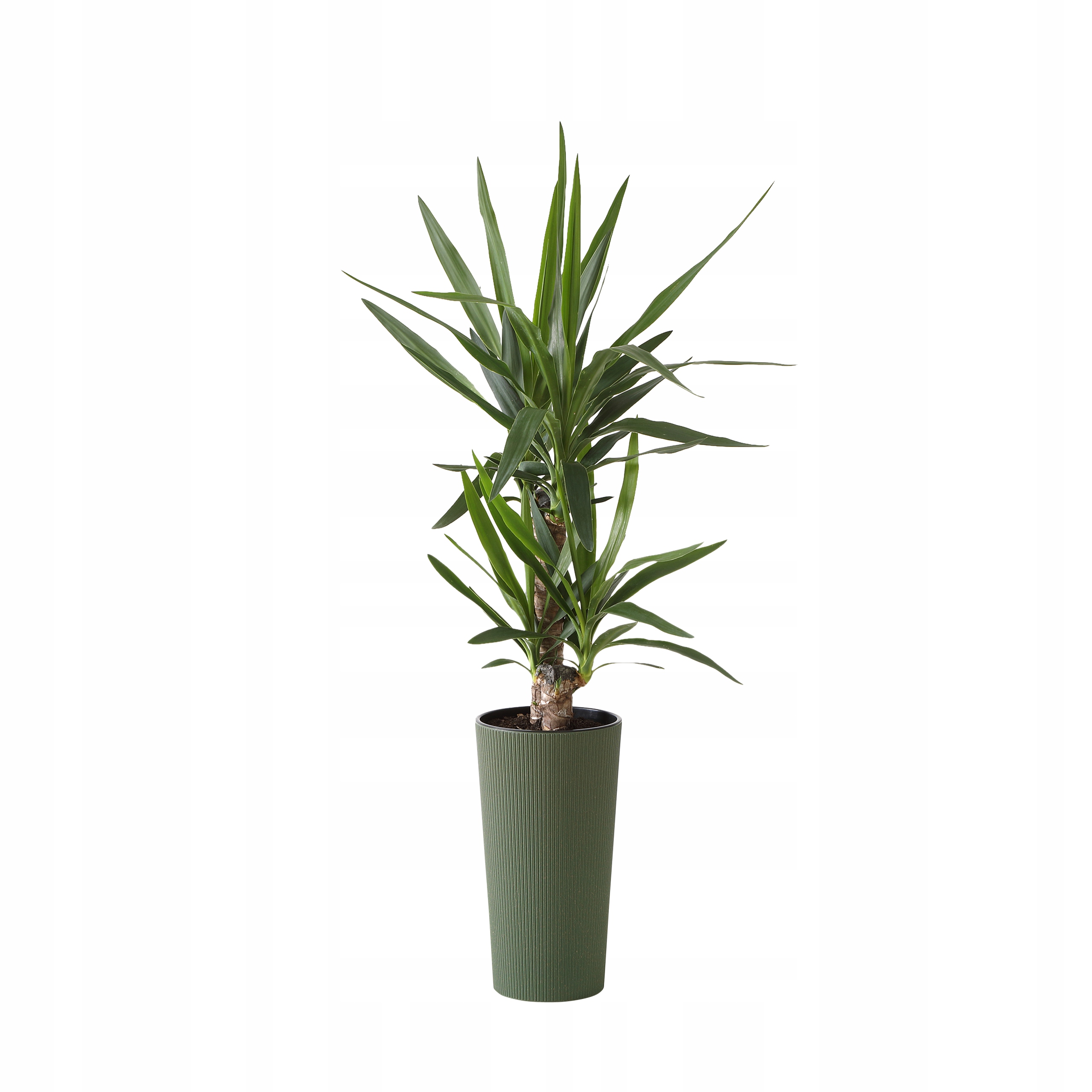 Lamelový kvetináč 46 cm x 25 x 46 cm priemer 25 cm plastové odtiene zelenej