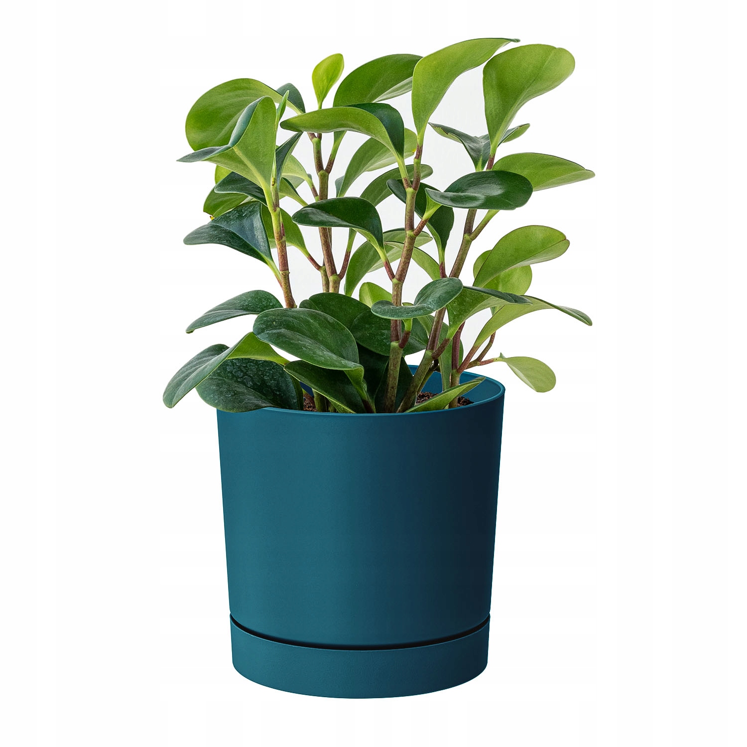 Kvetináč Prosperplast 30 cm x 30 x 28 cm priemer 30 cm plastové odtiene modrej