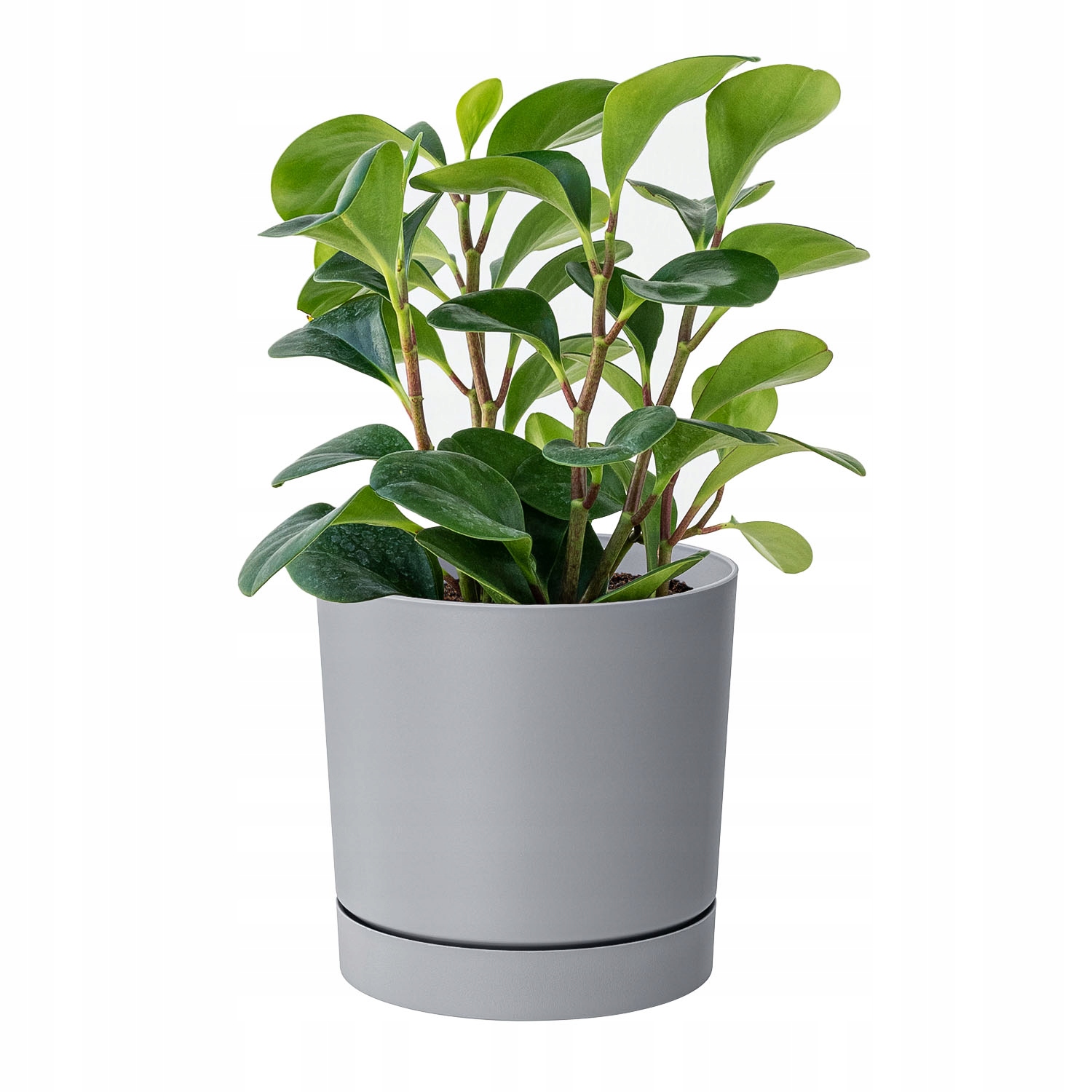 Kvetináč Prosperplast 30 cm x 30 x 28 cm priemer 30 cm plastový odtieň sivej a striebornej
