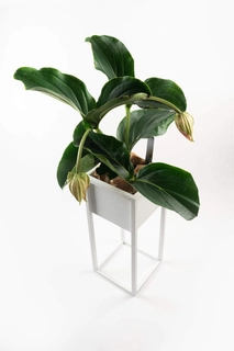 Stojan na kvety - Kovový box flownbed loft štít 90cm biely