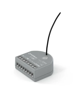 COSMO C-GG 12-24V DC prijímač