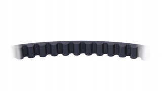 PRSPIN03B Trich Belt Syndrome 8m/10 mm spin/avio1