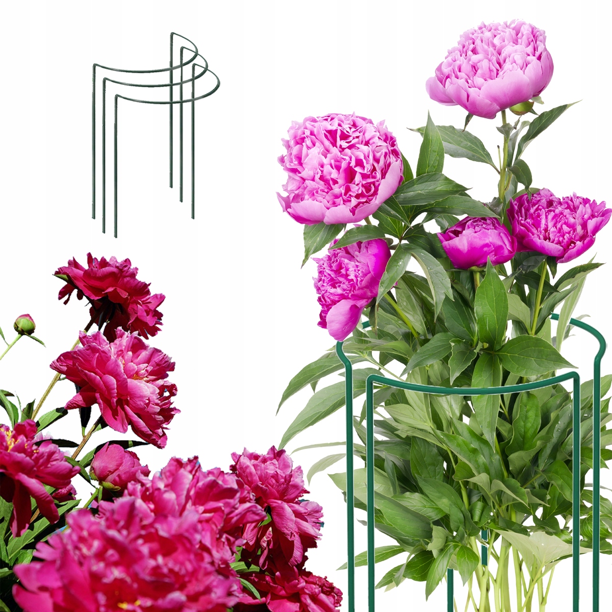Kovové podpery rastlín GardenPlus 60 cm, 3 ks zelené