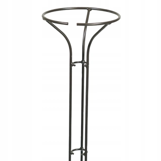 Perangola - Podpora pre ruže, stonkové rastliny, vysoké 165 cm, surové