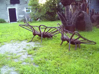 Krásna motýľ pre vašu záhradu!