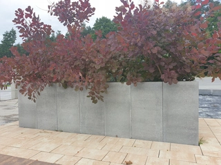 Ś Kost-bet Royal Palisada Block 100x37x7
