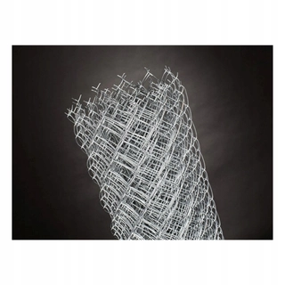 Pletivo, oplotenie - Galvanizovaná sieťovina FI 2,5 60x60 1,70 m