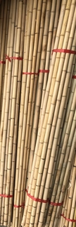 Bambusové tyče 300 cm (40 ks), priemer 3-4 cm