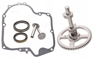 Camshaft Briggs 10.5-19 793583 790400 793880