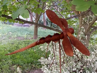 Dragonfly metal ornament. Rust v záhrade