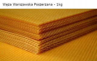 Včelie plasty - Včelí had Łysoń 400 x 278 mm 1 kg