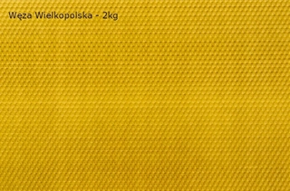 Včelie plasty - Včelí had Łysoń 335 x 235 mm 2 kg