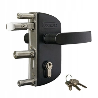Záhradný hrad pre profil 40 lOcinox Lakz4040 9005