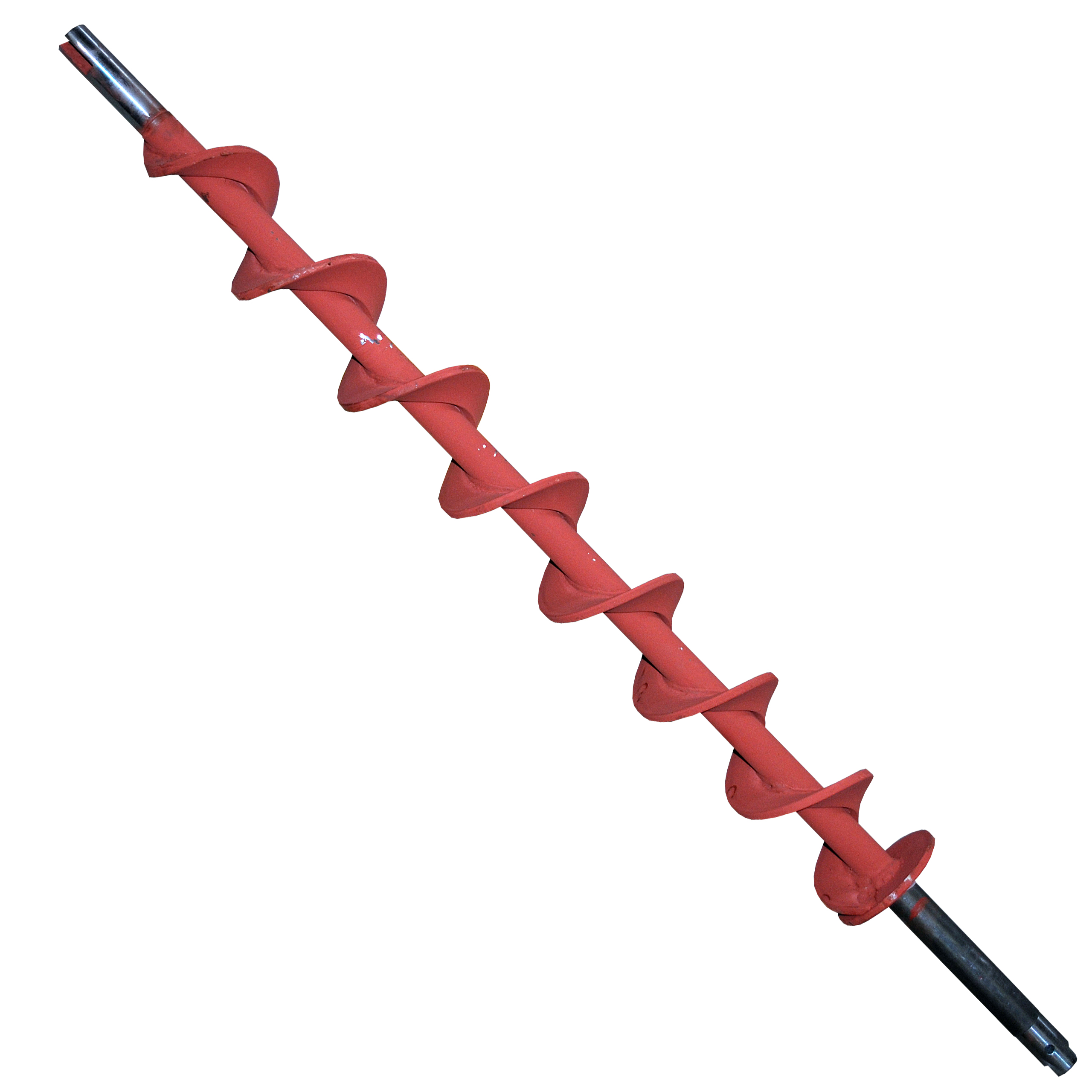 Domer slimák 6494