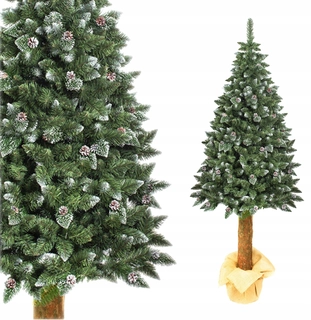Vianočný stromček na pni 180 cm