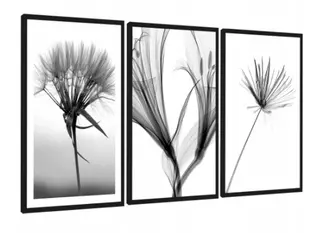 Obrázky v rámovej sérii 3 ks x 45/65 cm