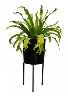 Kvetinový stojan LOFT 50x30 cm ČIERNY VYPR